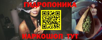 мяу мяу кристалл Гусь-Хрустальный