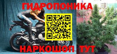 молекула духа Гусев