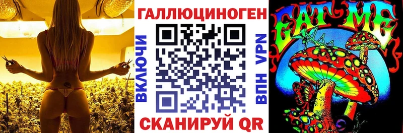 Псилоцибиновые грибы мицелий  Лабинск 