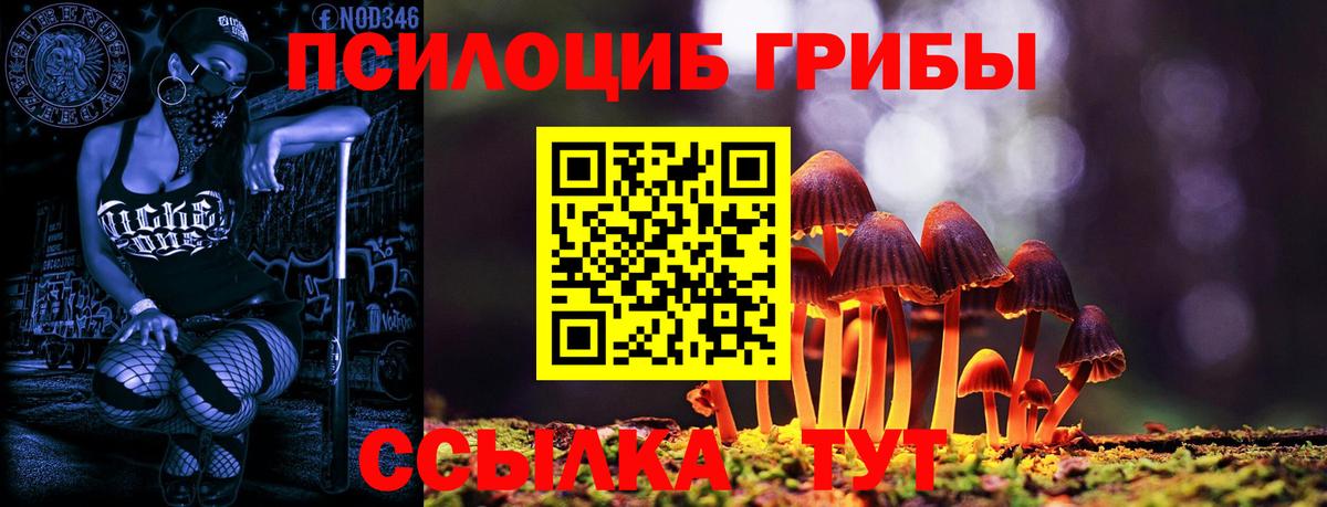 Псилоцибиновые грибы Psilocybe  Вход с VPN  Галлюциногенные грибы мицелий  как найти закладки  Лабинск 