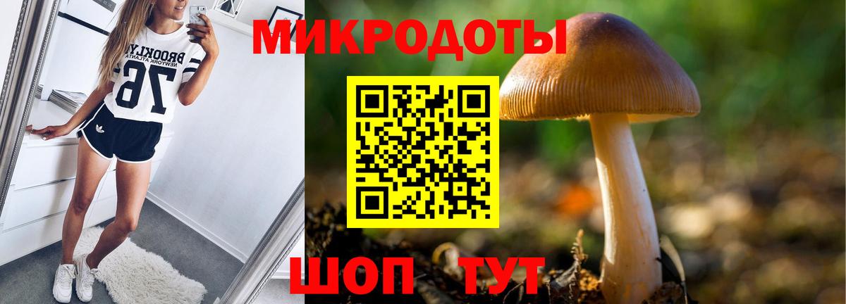 Галлюциногенные грибы ЛСД Лабинск